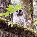 Cheryl Ann Root - @coot06 - Instagram
