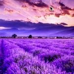 Cheryl Ann Root - @cherylaroot - Instagram