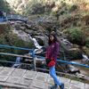 rabia_mahajan - @cheryl_roott - TikTok