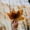 Cheryl Rutledg - @cherylrutledge8504 - TikTok