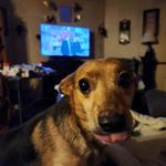 Cheryl Rutledge - @cherylrutledge82 - Instagram