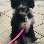 Cheryl Savage - @irish_fraggle_rocks - Instagram