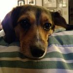 Cheryl Schubert - @schub2600 - Instagram