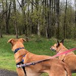 Cheryl Trenholm - @cherylsearles - Instagram
