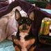 Cheryl Seefeldt - Facebook