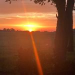 Cheryl Sellers - @c.sellers - Instagram