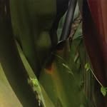 Cheryl Sewell - @cheryl.sewell - Instagram