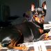 Cheryl Sewell - Facebook