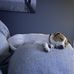 Cheryl Sewell - Facebook