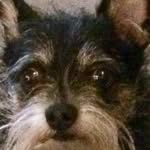 Cheryl Sewell - @cheryl.sewell.9210 - Instagram