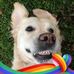 Cheryl Sidwell - Facebook