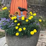 Cheryl Siemer - Facebook