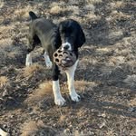 Cheryl Snider - @cheryl.snidermcroberts - Instagram