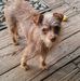 Cheryl Sommer - Facebook