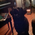 Cheryl Sommer - @cms1959_2 - Instagram