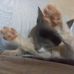 Cheryl Souza - Facebook