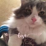 Cheryl Sprague - @cheryl.sprague12 - Instagram