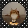 Cheryl Springer - @cheryl.springer1 - TikTok