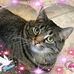 Cheryl Stamm Knabe - Facebook