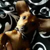 cherylstaub - @cherylstaub - TikTok