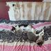 Cheryl Steck - Facebook