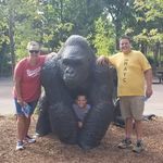 Cheryl Steck - @cherylsteck - Instagram