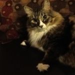 Cheryl Storey - @cheryl.storey.79 - Instagram