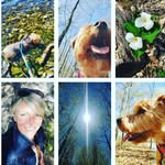 Cheryl Storey - @cherylstoreycounselling - Instagram
