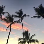Cheryl Labosh Stover - @cjs1103 - Instagram