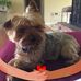 Cheryl Stover - Facebook