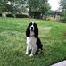 Cheryl Stover - Facebook