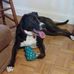 Cheryl Rast Stowe - Facebook