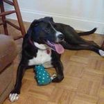 Cheryl Rast Stowe - @cheryl1774 - Instagram
