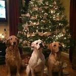 Cheryl Stowe Kenyon - @kenyoc6 - Instagram