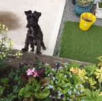 Cheryl Studley - Facebook