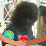 Cheryl Stumbo - Facebook