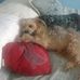 Cheryl Stumbo - Facebook