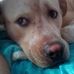 Cheryl Sue - Facebook