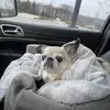 Cheryl Sue - @cheryl.sue - TikTok