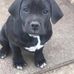 Cheryl Sumner - Facebook