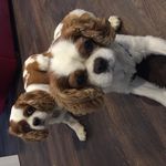 Cheryl Sumner - @sumner_cheryl - Instagram