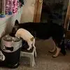 Cheryl Tardiff Sumner - @cheryl.tardiff.su - TikTok