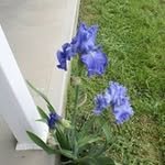 Cheryl Swartz - @swartz.cheryl - Instagram