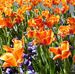 Cheryl Taft - Facebook