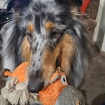 Cheryl Taft Wise - @cheryl_taft_wise - Instagram