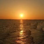Cheryl Tanner - @ocean440 - Instagram