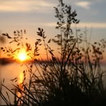 CherylTanner - @cheryltanner853 - Instagram
