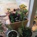 Cheryl Tatham-Ball - Facebook