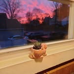 Cheryl Tebo - @tebo2816 - Instagram