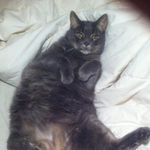 Cheryl Steel - @cheryl.steel.984 - Instagram